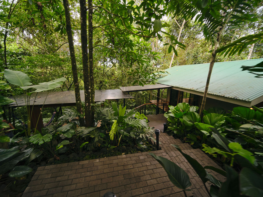 Rainforest canopy over the roofs at Secret Bungalows Lechu