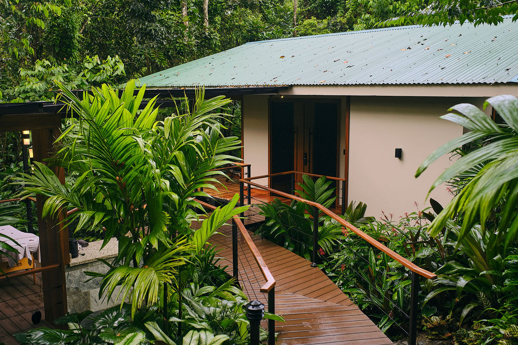 Bungalow with a green roof and a wooden walkway through the garden