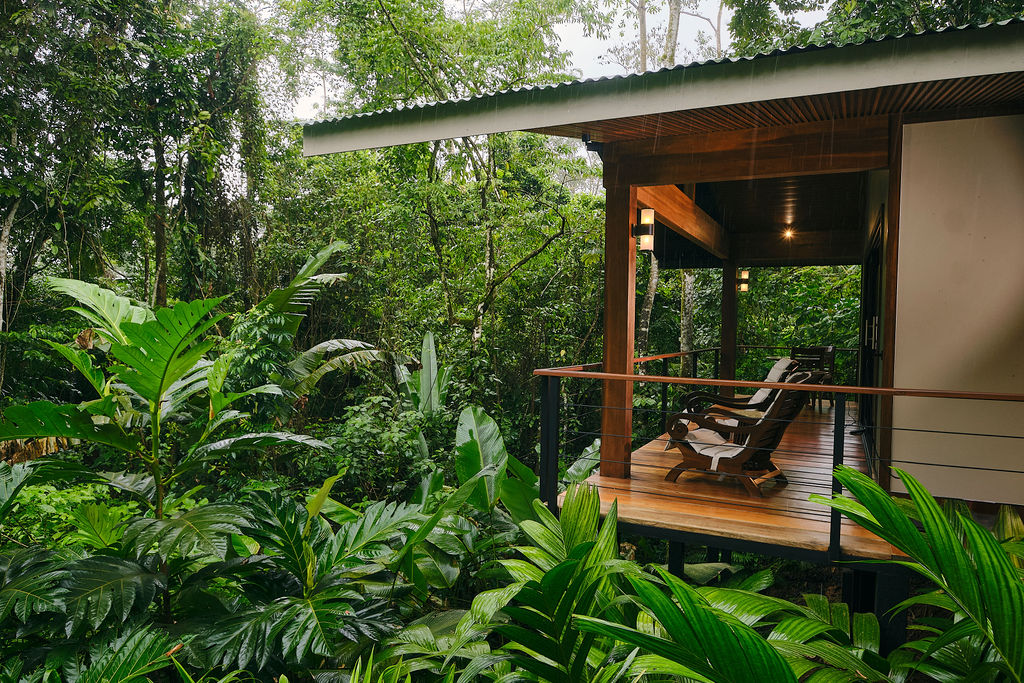 Bungalow porch with a rocking chair, surrounded by tropical planting