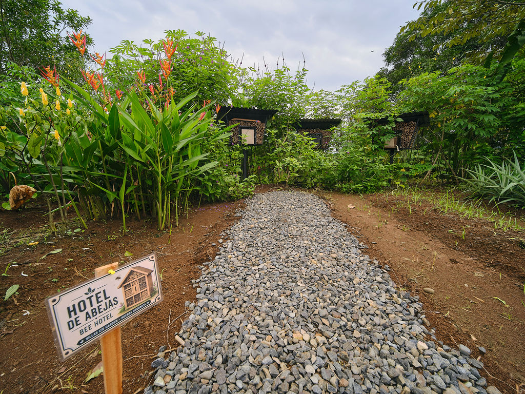 Gravel path through the organic farm