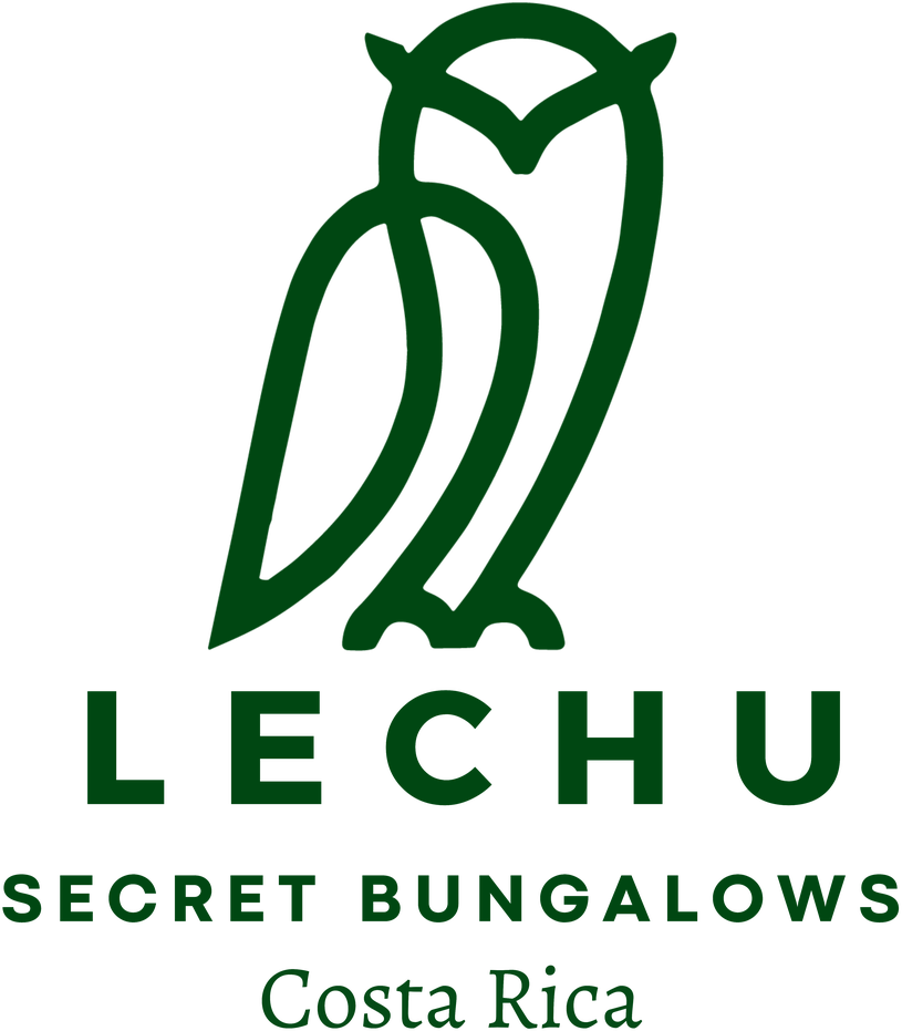 Secret Bungalows Lechu logo in brand green: line-drawn owl above the Lechu wordmark