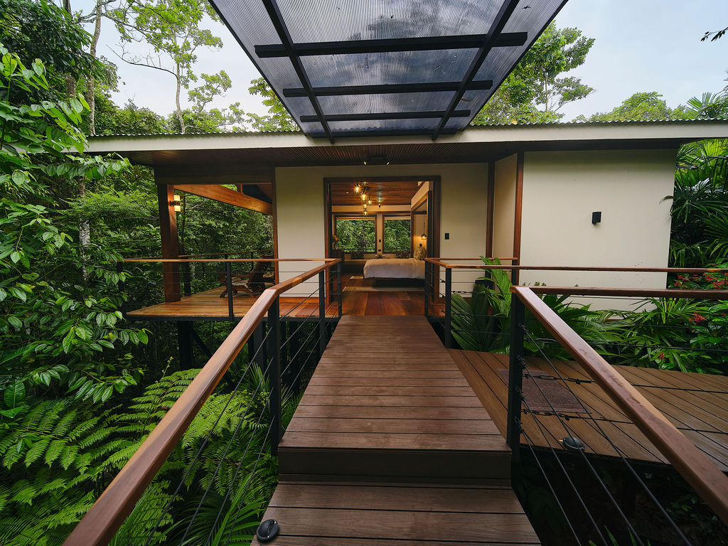 Bridge and covered deck leading into a bungalow among tree ferns