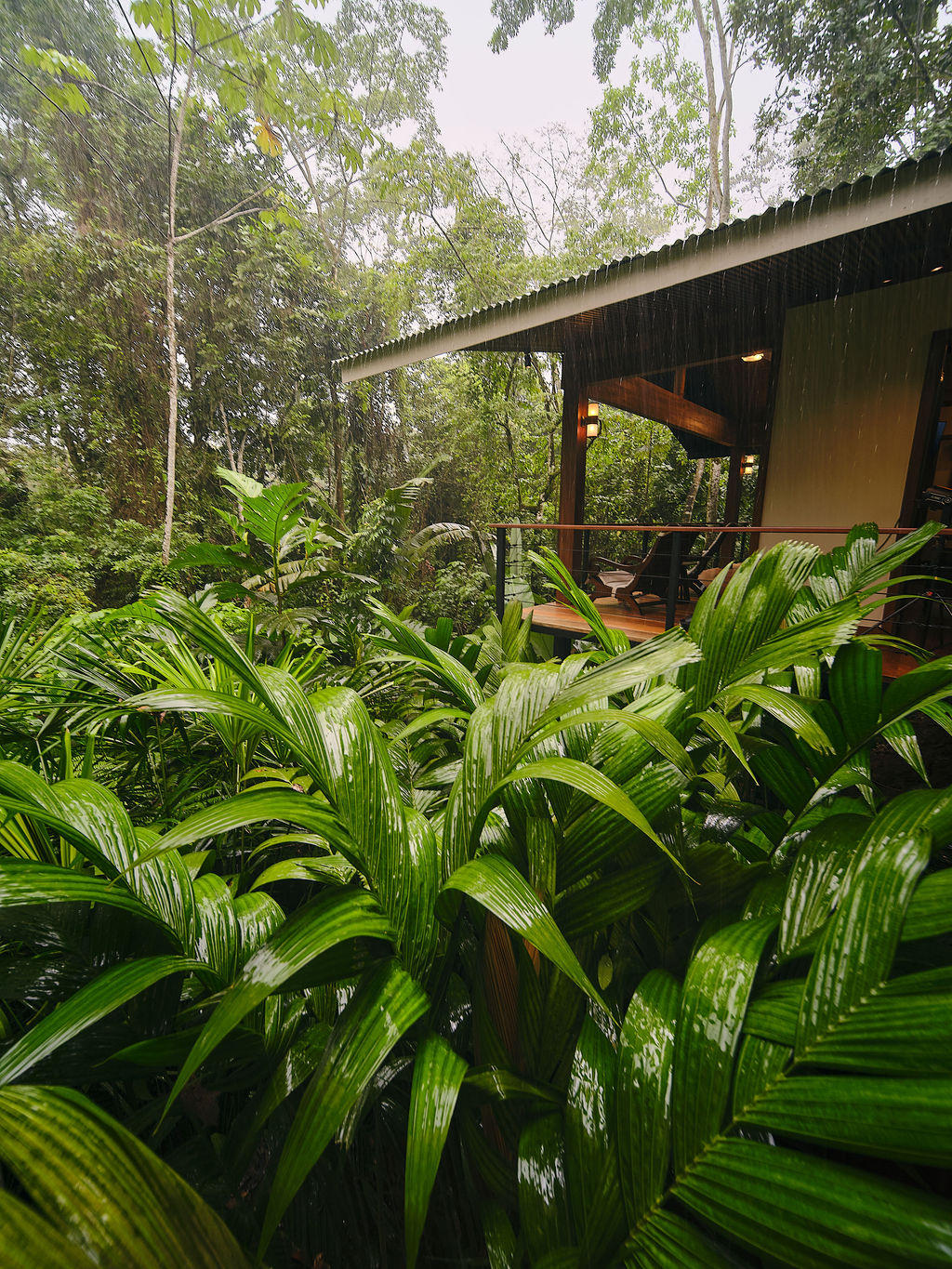 Bungalow Deluxe King Waterfall seen through the palms